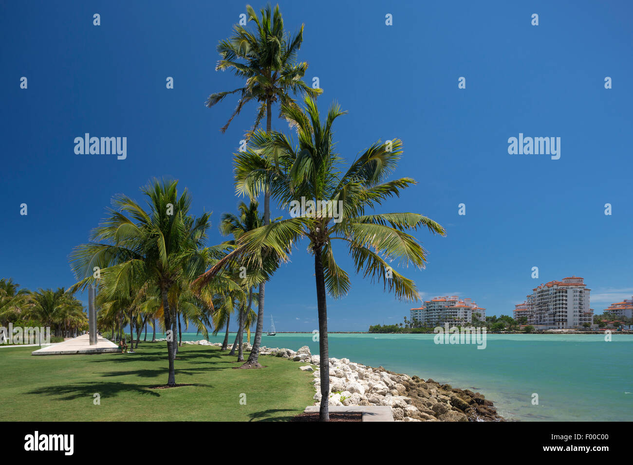 PALM TREES SOUTH POINTE PARK MIAMI BEACH FLORIDA USA Stock Photo