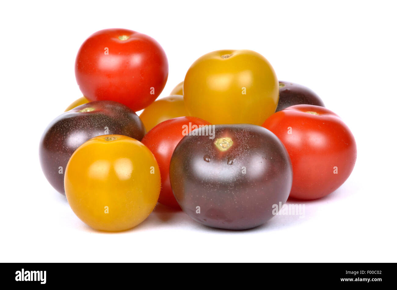 garden tomato (Solanum lycopersicum, Lycopersicon esculentum), cherry tomatoes in yellow, red and black Stock Photo