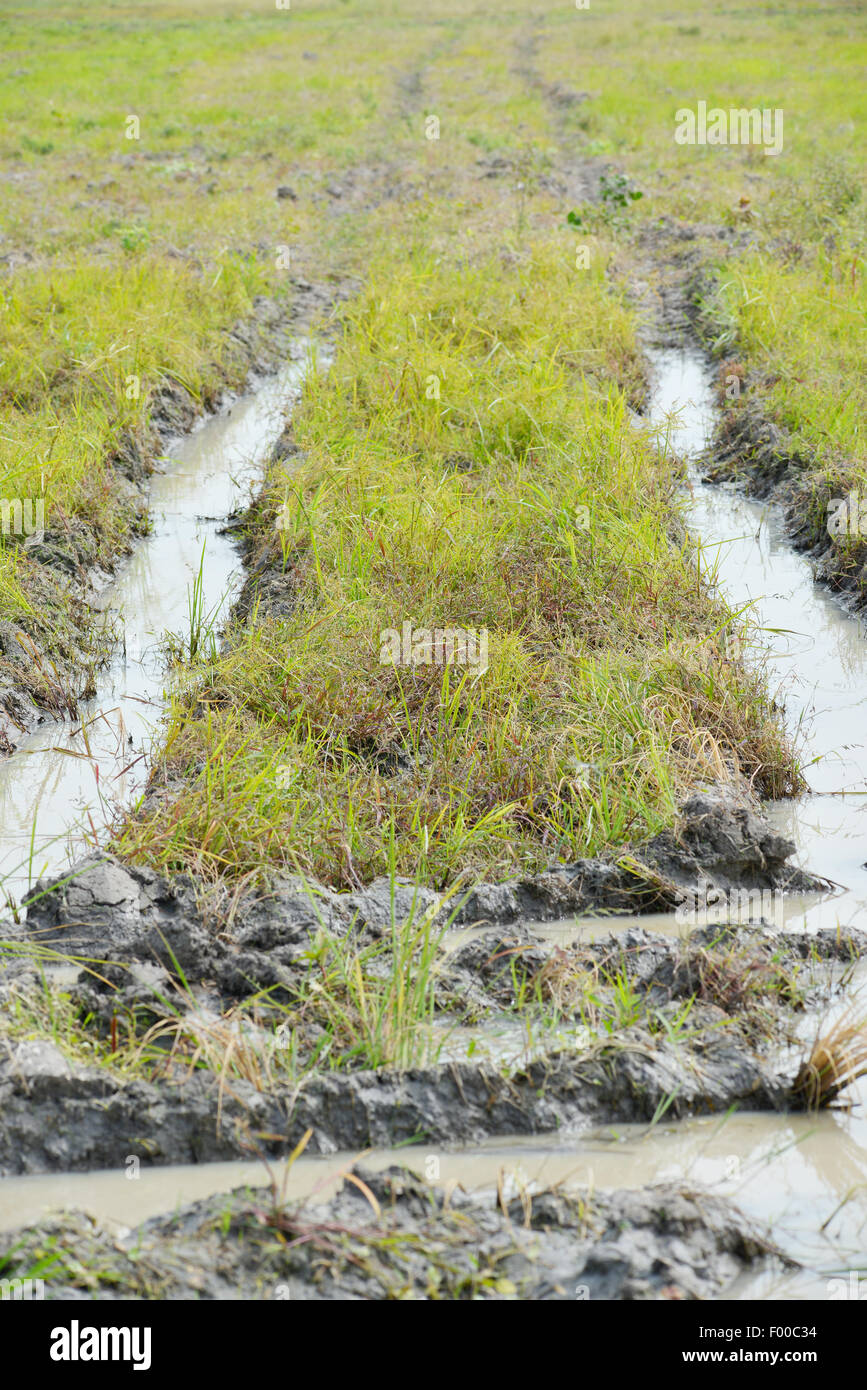 Rural dirt road covered with mud and water Stock Photo - Alamy