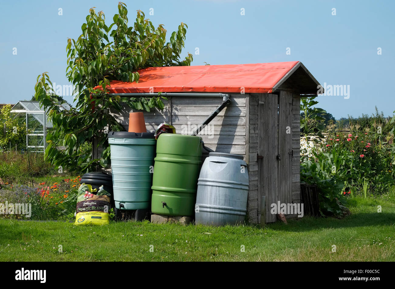 collecting rain water in plastic containers from shed roof, norfolk