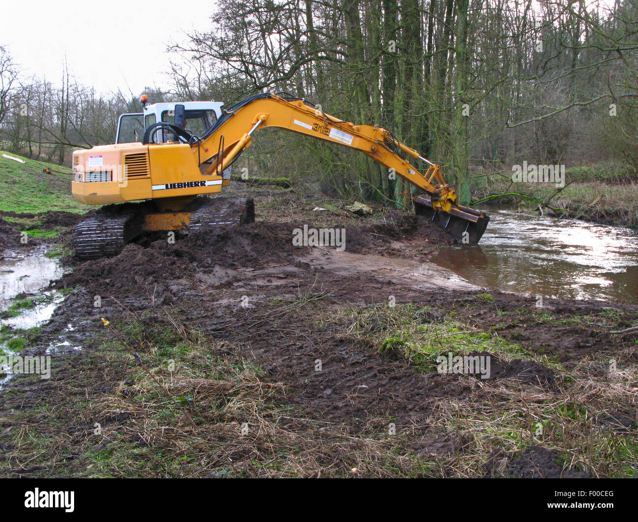 shore of a brook is being renaturated, Germany Stock Photo