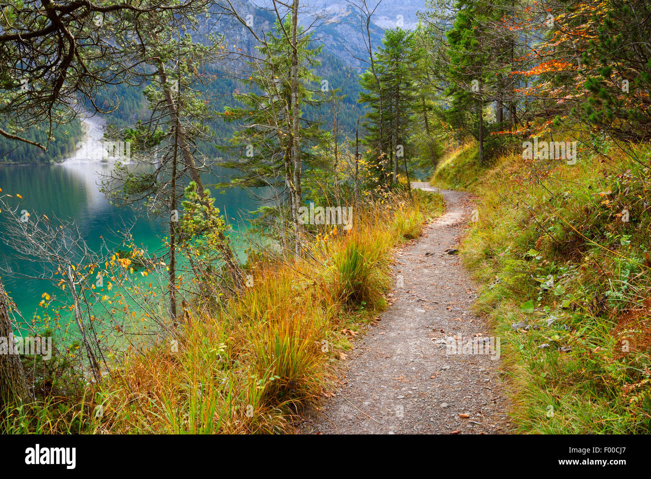 little trail besides lake Plansee in autumn, Austria, Tyrol Stock Photo