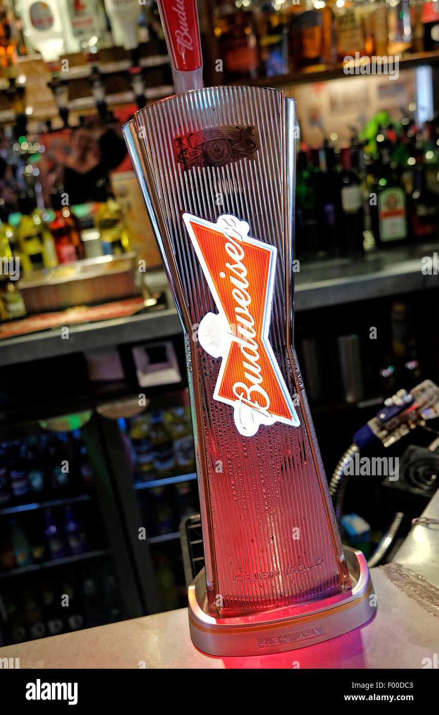 illuminated budweiser pump in american style bar Stock Photo Alamy