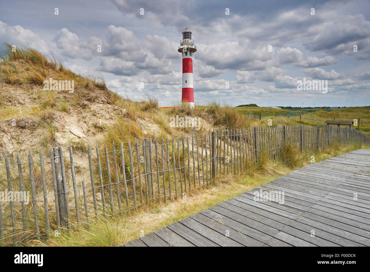 boardwalk / Raised wooden walkway in the dunes, Belgium Stock Photo