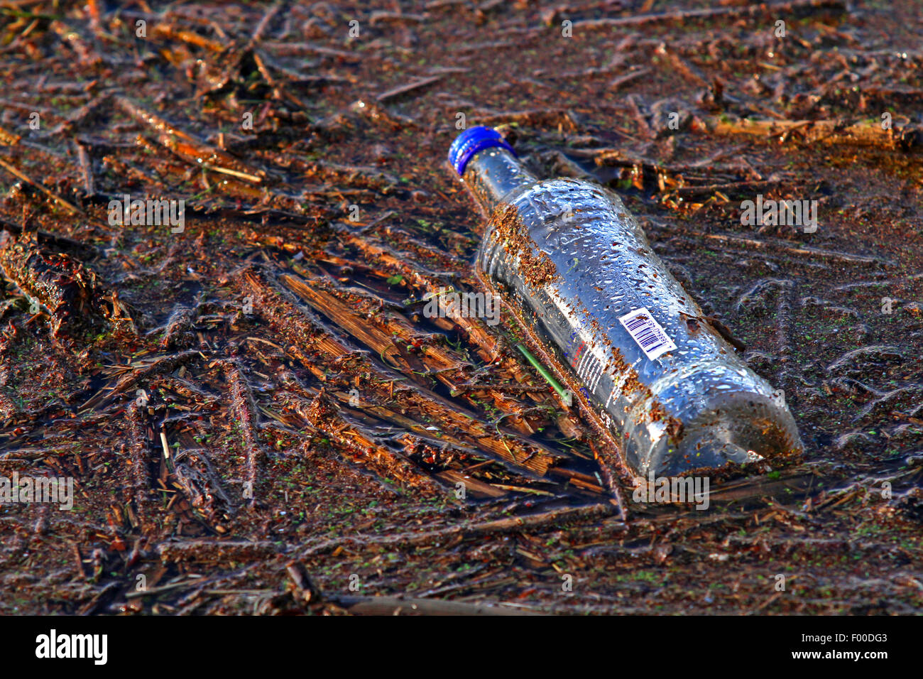 empty glass bottle and flotsam in stretch of water, Germany Stock Photo