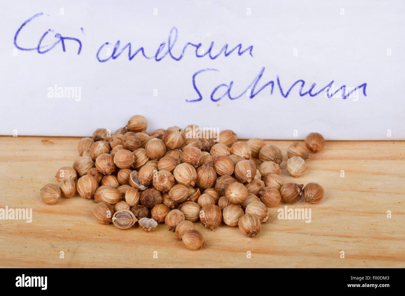 coriander (Coriandrum sativum), dried coriander fruits Stock Photo Alamy