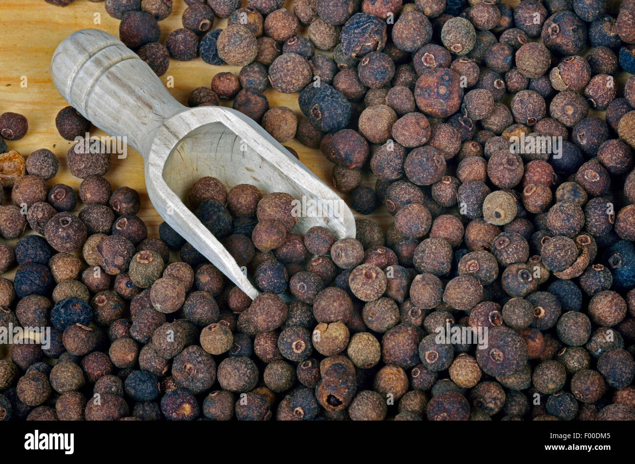 allspice, pimento (Pimenta dioica), allspice seeds with wood scoop