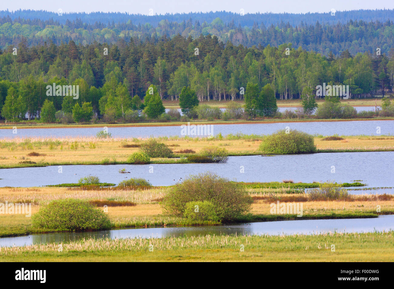 Store Mosse wetlands in Store Mosse, Sweden Stock Photo - Alamy