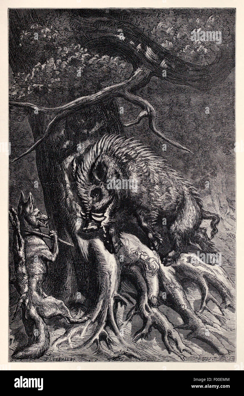 'The Fox and the Boar' fable by Aesop (circa 600BC). A Wild Boar was sharpening his tusks. A Fox asked why. The Boar said that it would be foolish to not be ready and have to sharpen them when needed. Be prepared. Illustration by Ernest Grisnet (1844-1907). See description for more information. Stock Photo