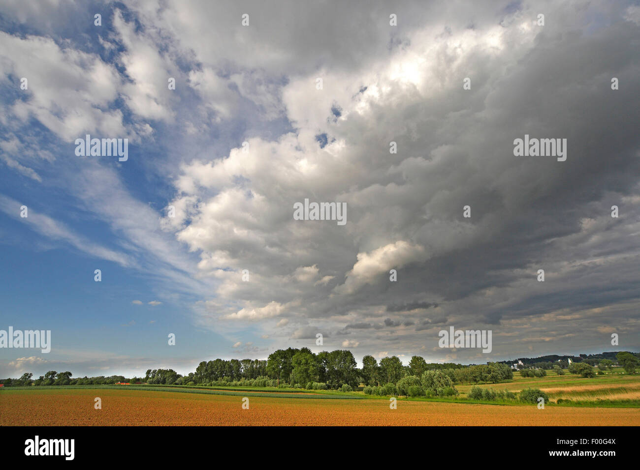 Cloud formations above nature reserve Langemeersen, Belgium Stock Photo