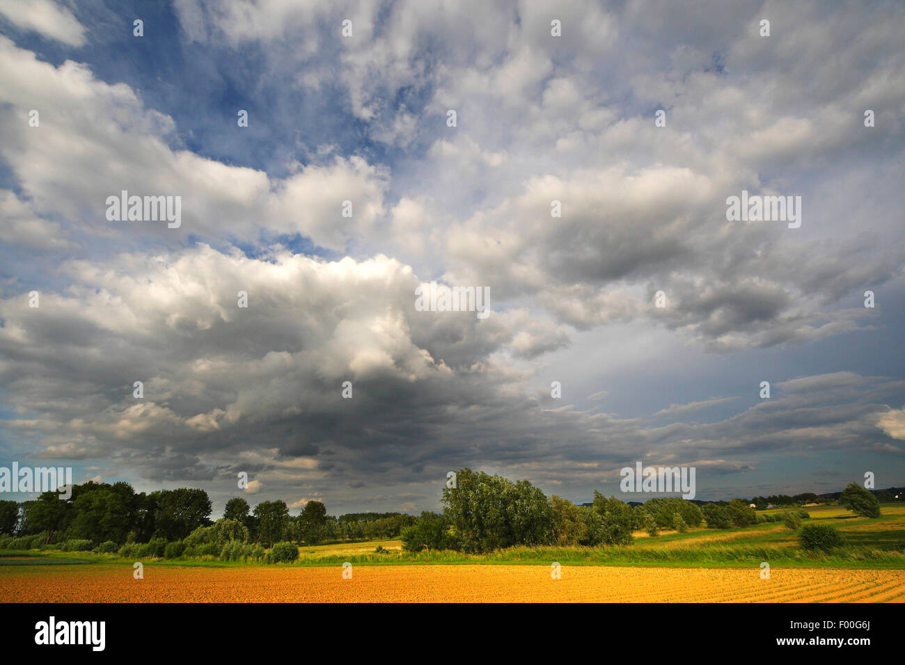 cloud formations above nature reserve Langemeersen, Belgium, NSG Langemeersen Stock Photo