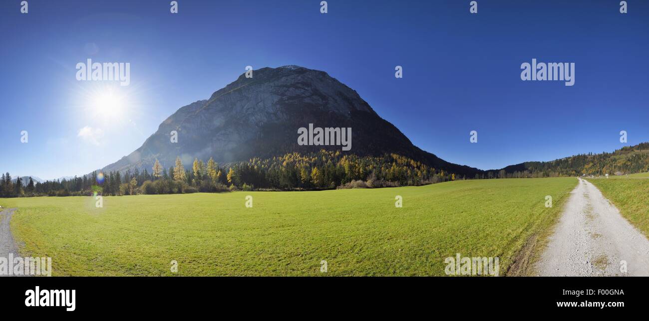 Path larches hi-res stock photography and images - Page 3 - Alamy
