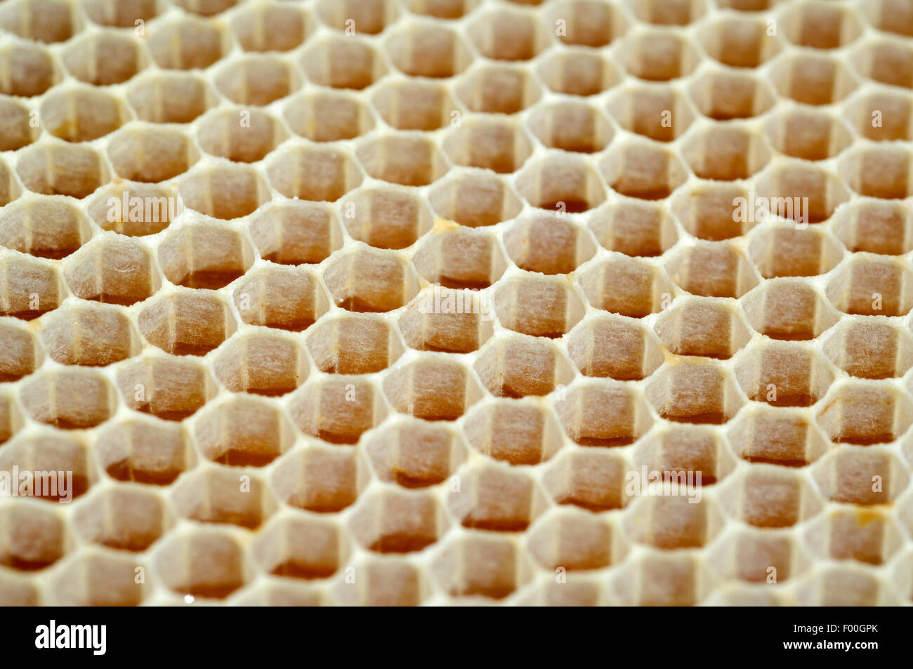 TianranRT Bienenwabe Biene Wachs Grundierung Bienenstock Wachs Rahmen Basis Betttücher Biene Kamm Honig Rahmen