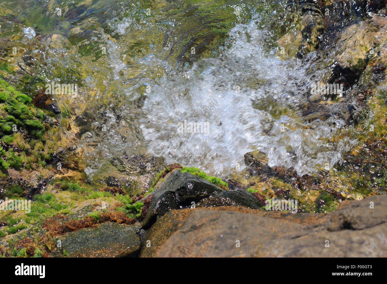 Surf sea wave clear hi-res stock photography and images - Alamy