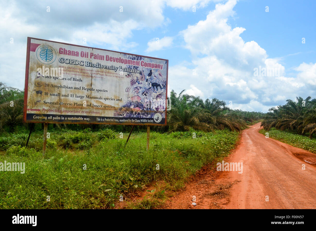 Dirt road into the Ghanaian countryside crossing a palm oil plantation and oil palm development company sign Stock Photo