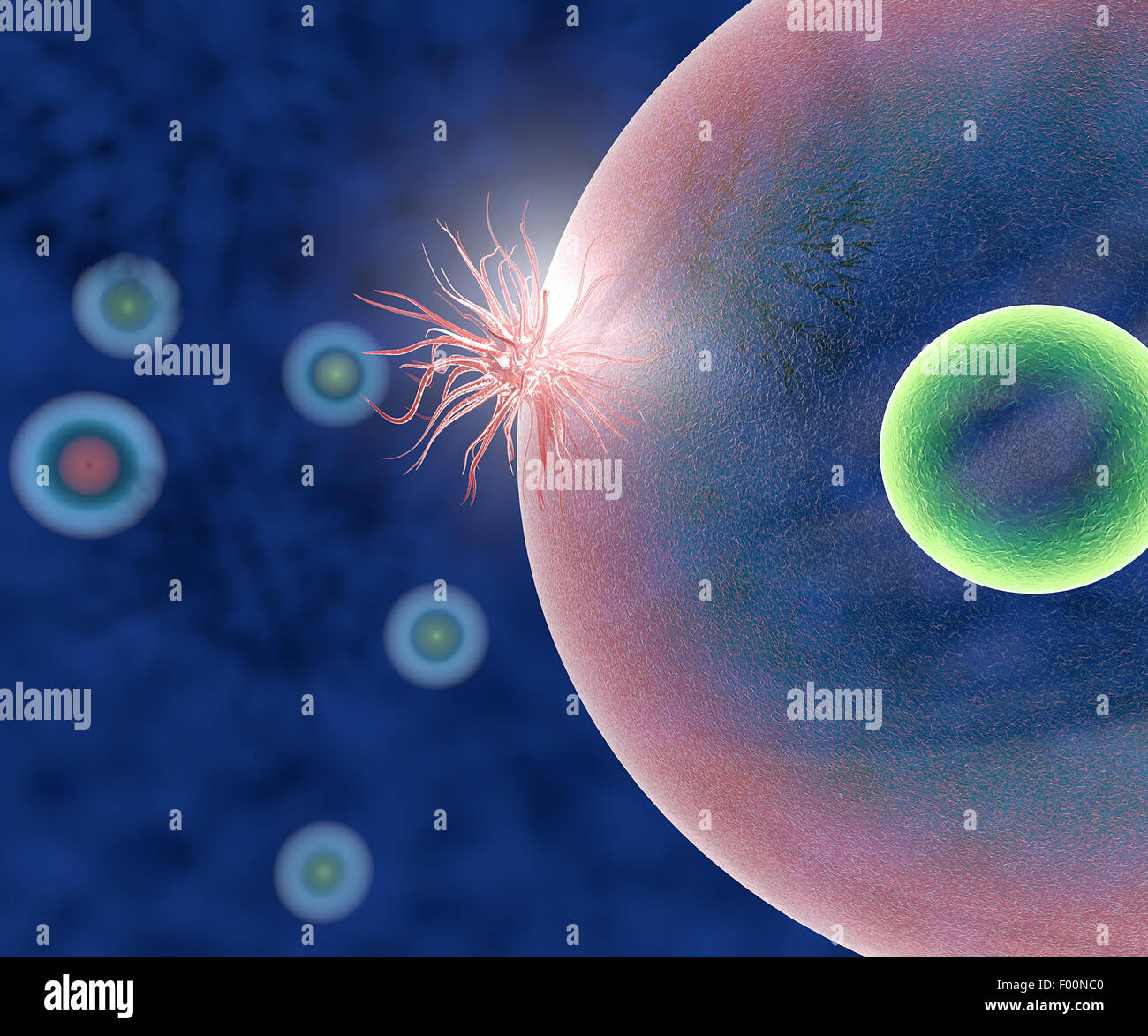 3d Illustration of virus inside human body Stock Photo