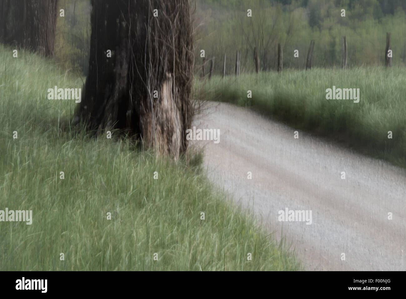 Artistic interpretaion of Sparks Lane road in Cade's Cove, Great Smoky Mountains National Park, Tennessee, USA. - Stock Image