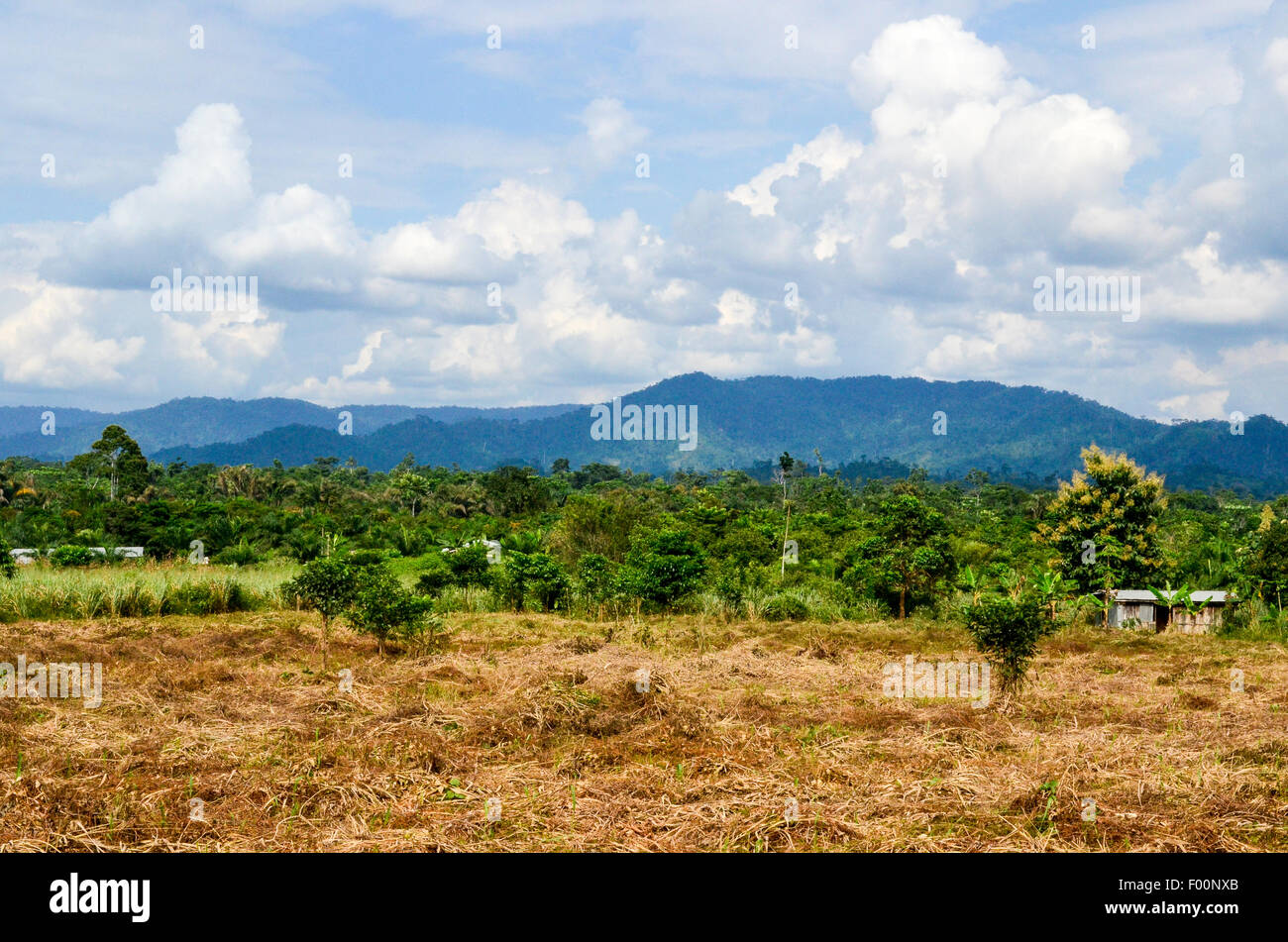 Landscape of the Volta region near Akosombo Stock Photo