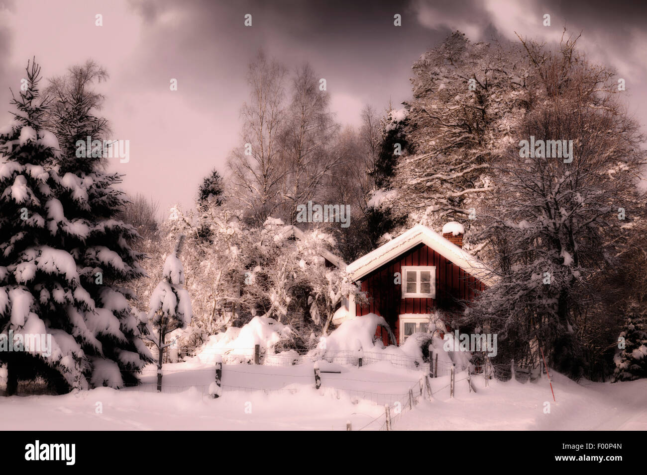 old cottage in a rural winter and snow landscape Stock Photo