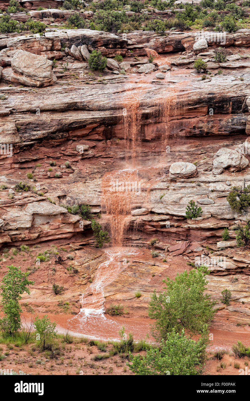 Summer Rains Bring Water to Canyon Country - Near Moab, Utah Stock Photo