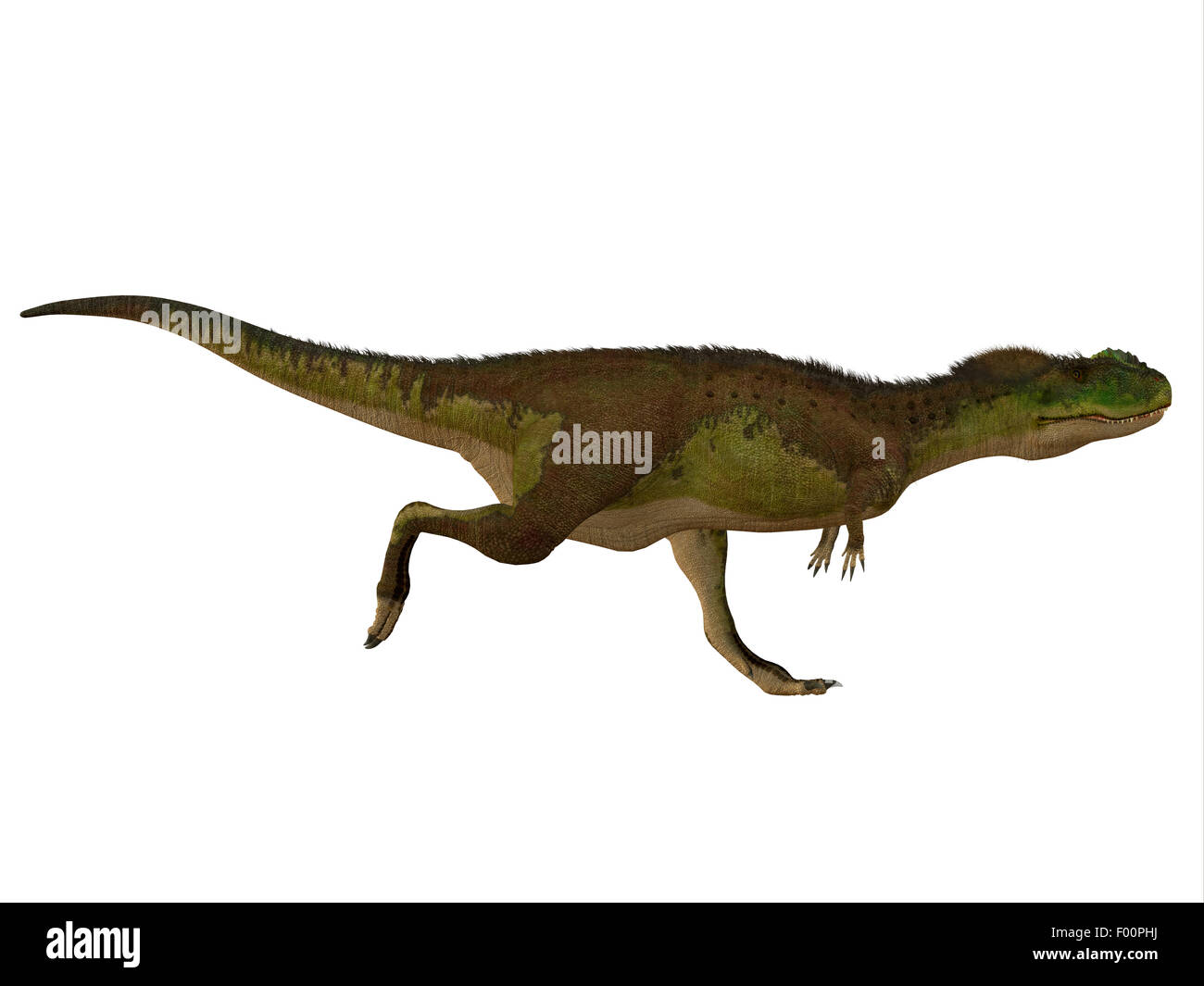 Dino Cut Out Stock Images & Pictures - Alamy