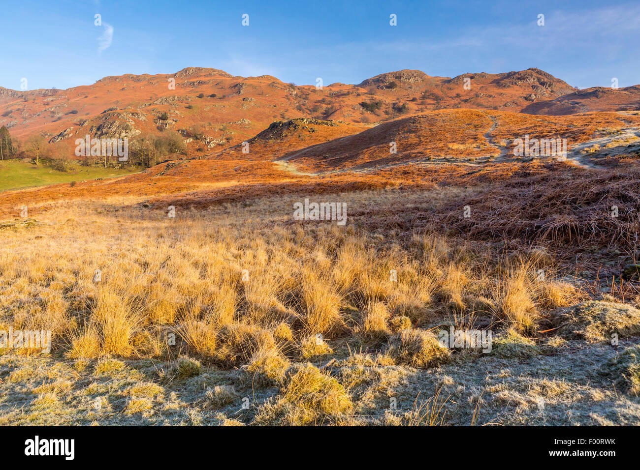 View towards Loughrigg Fell, Elterwater, Lake District National Park, Cumbria, England, United Kingdom, Europe. Stock Photo