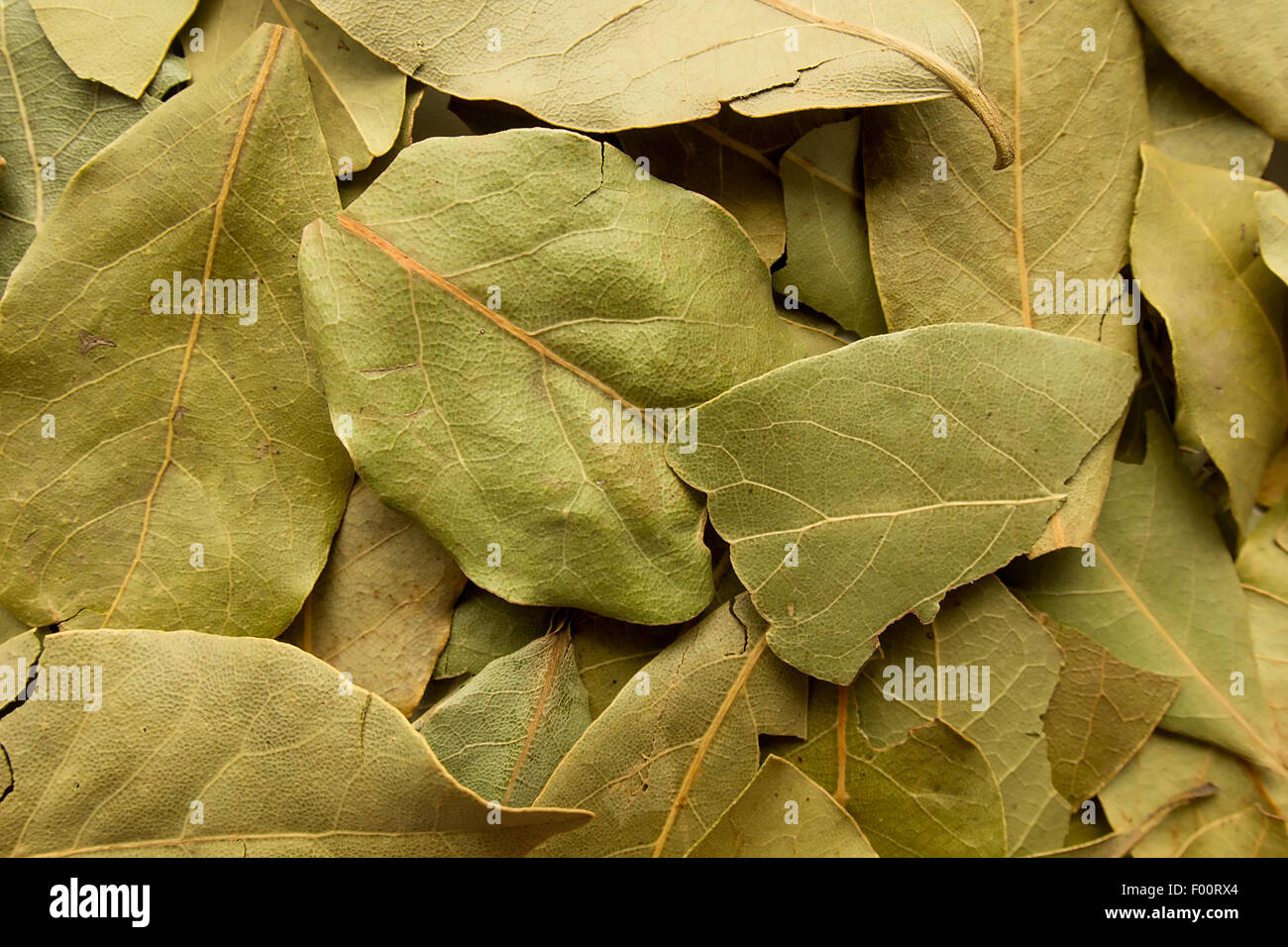 Bay leaves top view selective focus Stock Photo