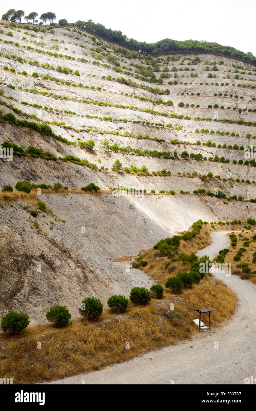 Reforestation in sealed Sand and gravel, dolomite quarry, excavation