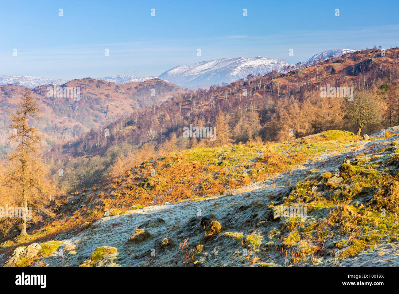 A view from Tarn Hows Intake towards The Old Man of Coniston, Lake District National Park, Cumbria, England, United Kingdom, Eur Stock Photo
