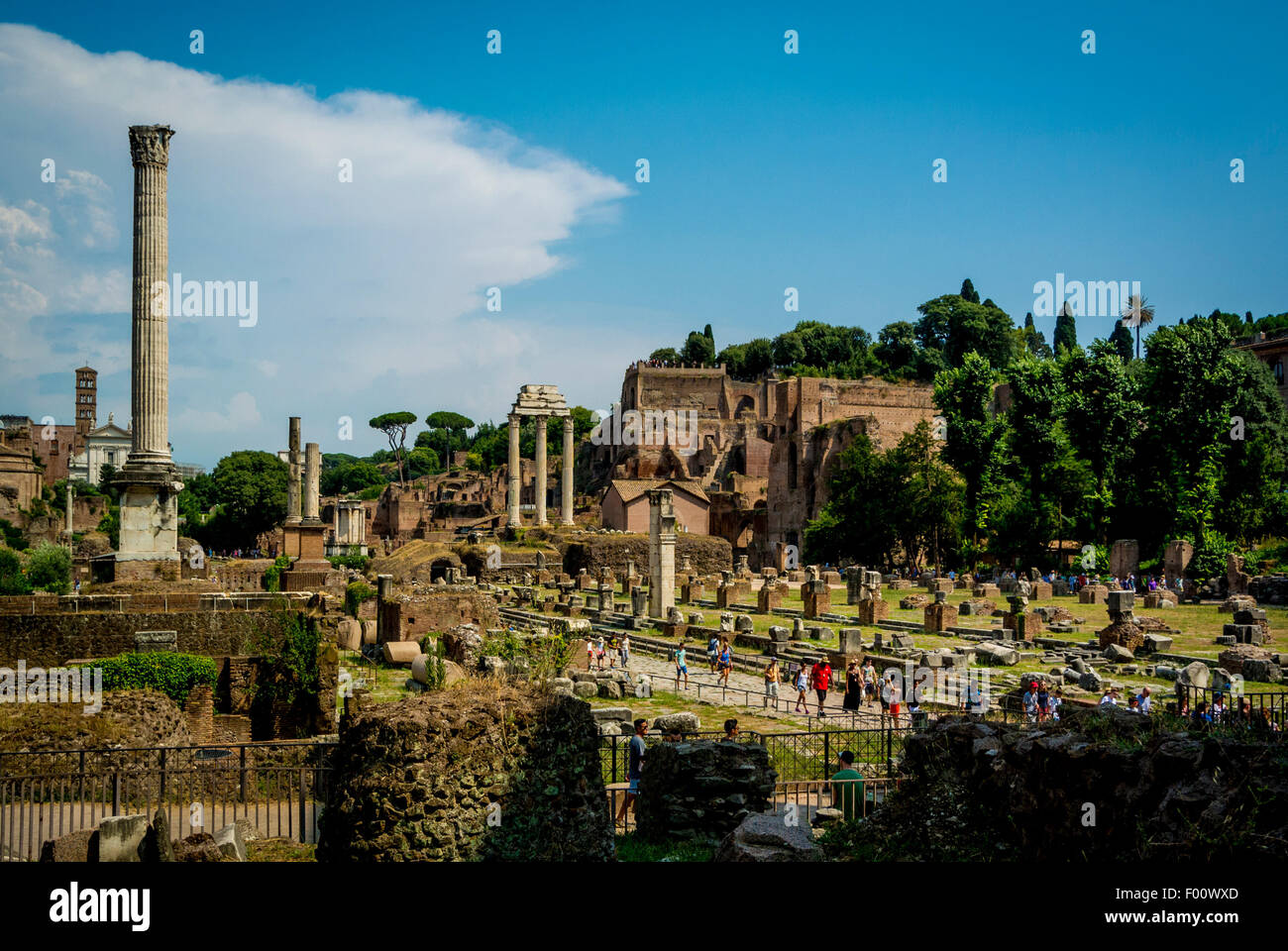 Three Pillars of the Temple of Castor and Pollux and Column of Phocas, Colonna di Foca in the Roman Forum. Stock Photo