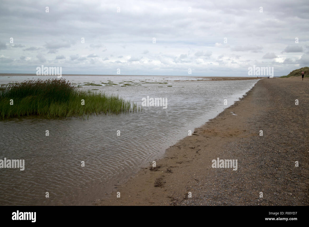 salt marshes on warren beach near Talacre beach sssi north wales uk Stock Photo