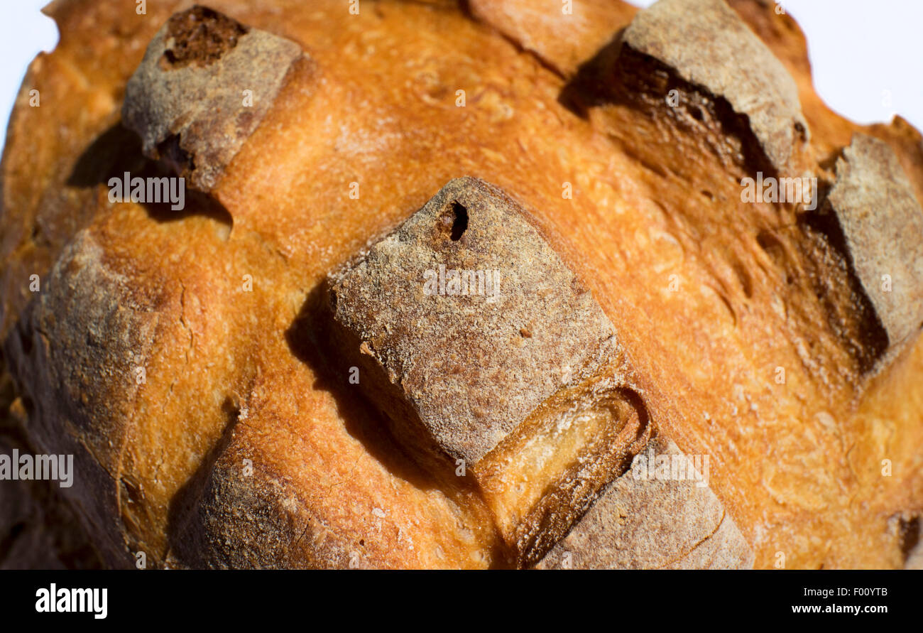 manchester cob bread crusty loaf Stock Photo