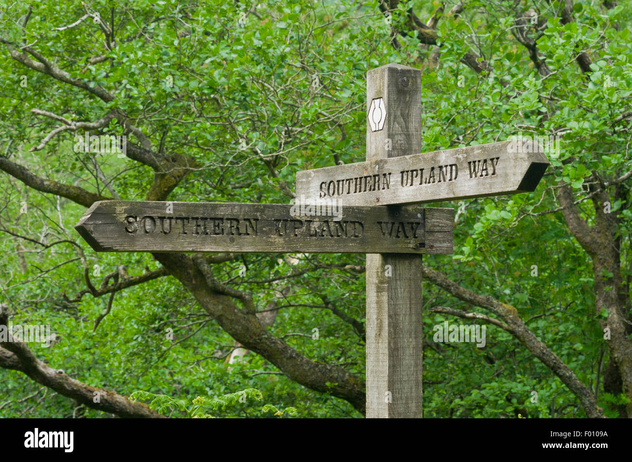 Southern Upland Way Long Distance Footpath Stock Photo