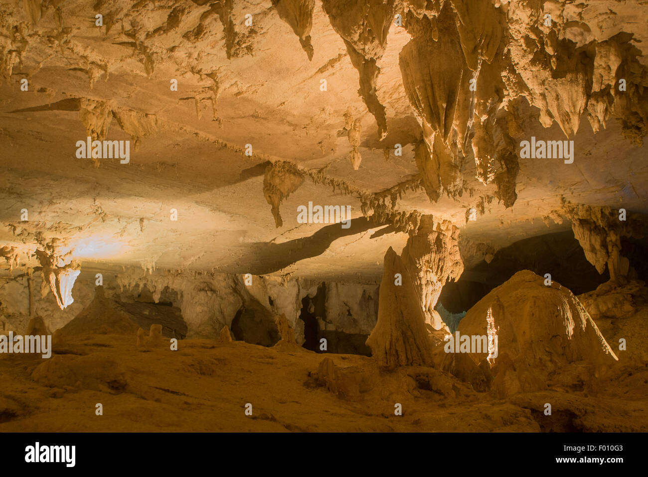 Cave with stalactites. Gunung Mulu National Park, Malaysia. Stock Photo