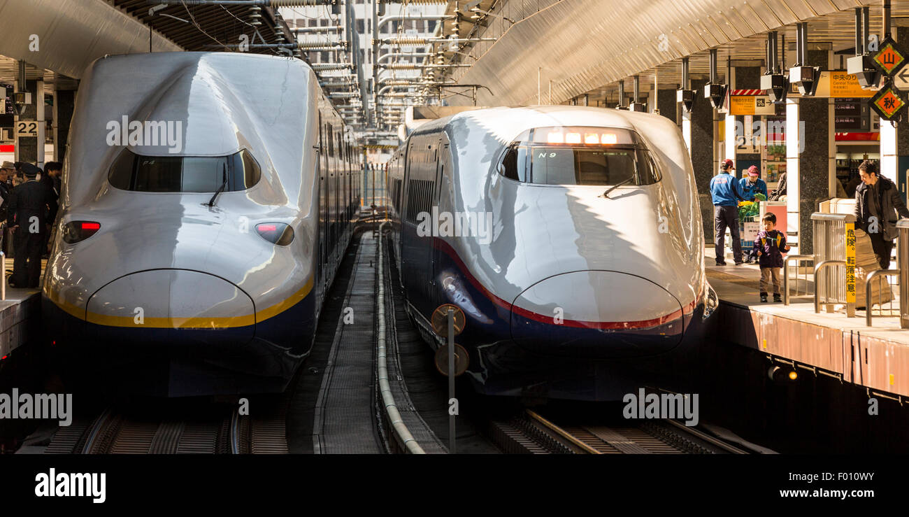 Bullet trains parked at adjacent platforms in Tokyo Station, Japan Stock Photo