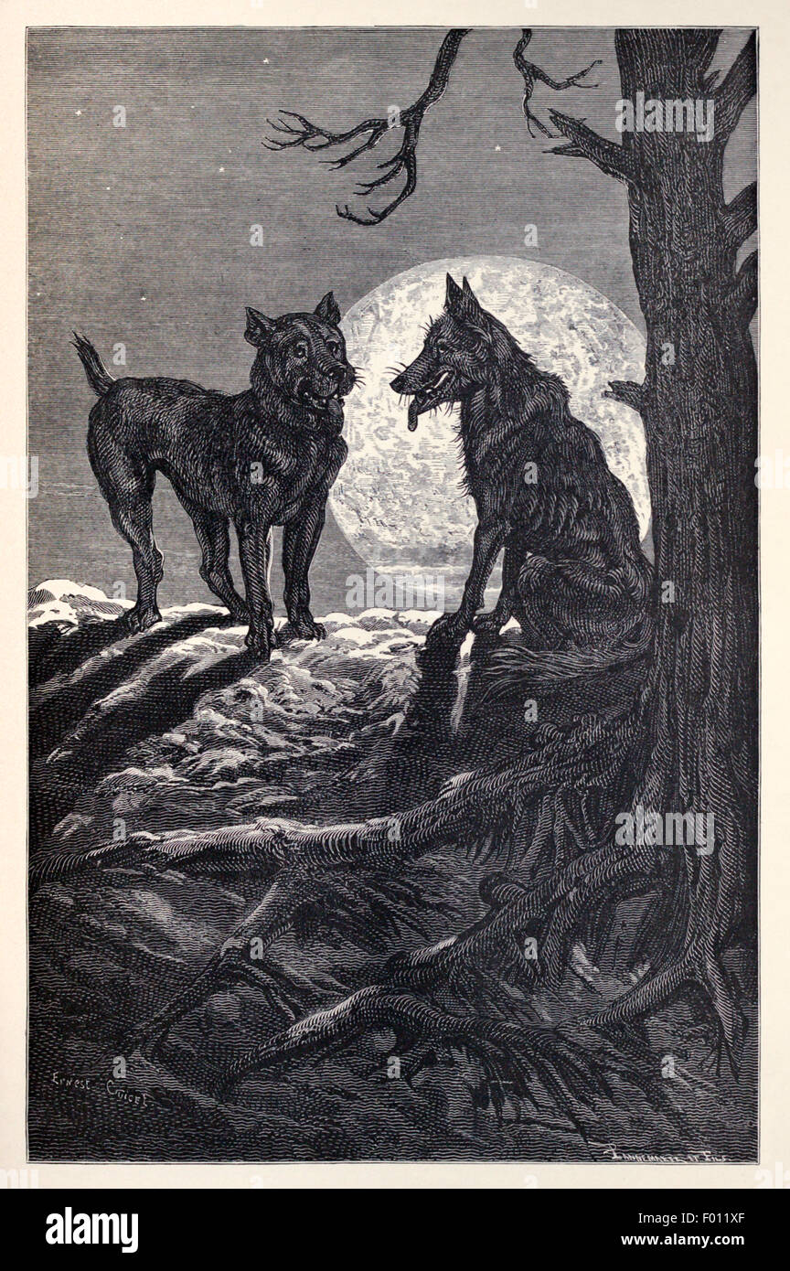 The Dog and the Wolf: A Retelling of Aesop's Fable