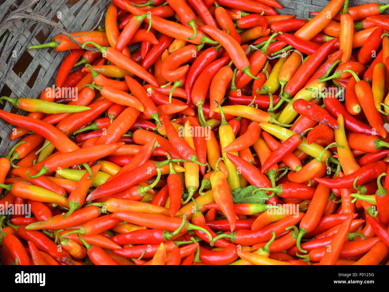 pile of long red chillies at the Vietnamese market Stock Photo
