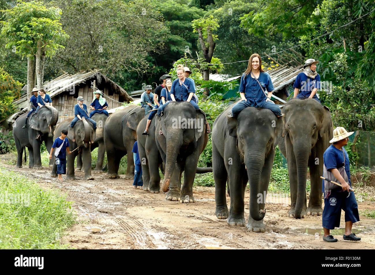 people-riding-asian-elephants-elephas-ma