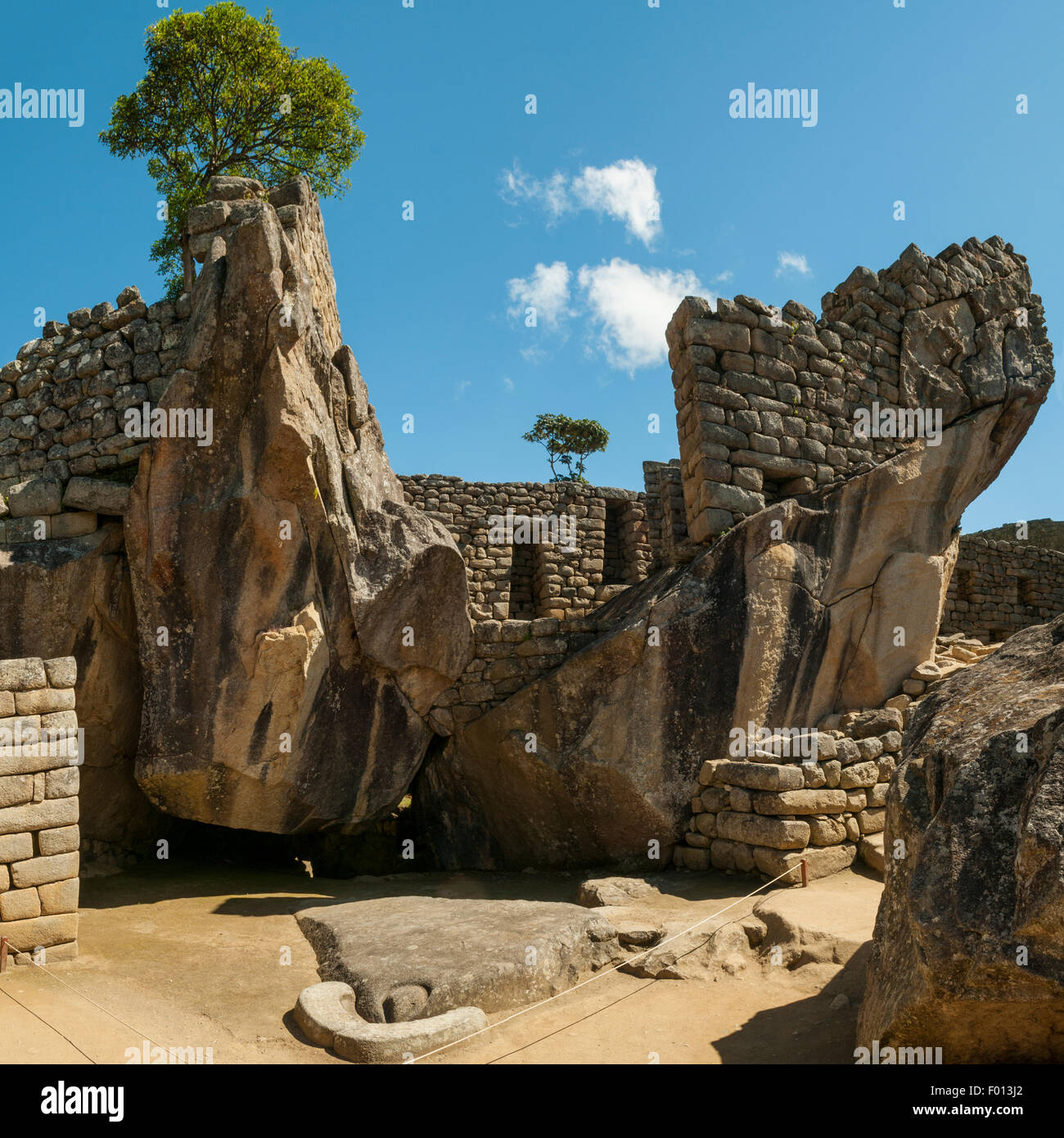 My Image 25