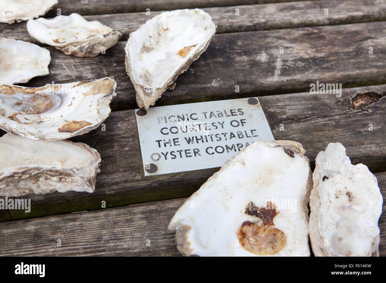 Detail of a picnic table in Whitstable, Kent, with oyster shells Stock
