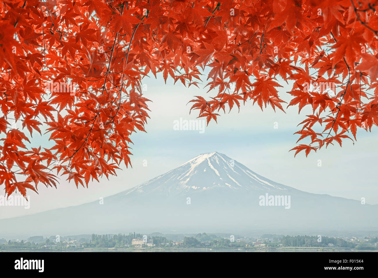 Mount Fuji reflected in Lake Kawaguchiko with fall colors, Japan. Stock Photo