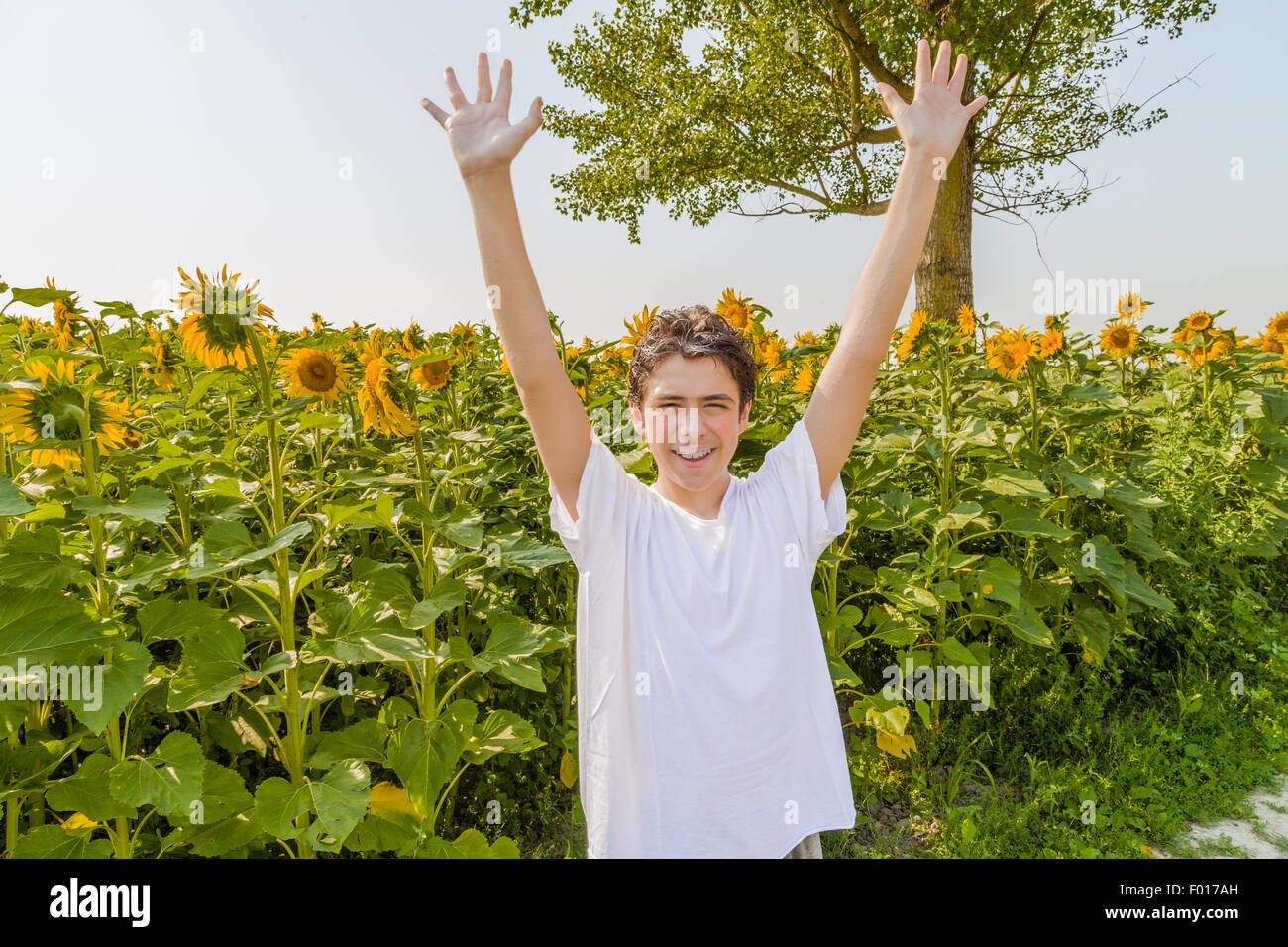 Open air and open arms – Caucasian boy is raising his arms in front of yellow sunflower fields during summer in Italian countryside Stock Photo