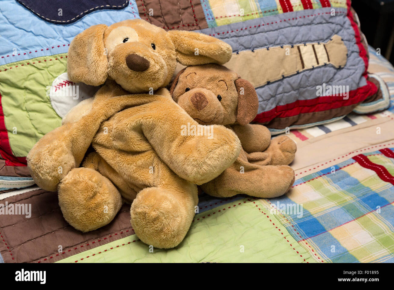 Seven-year-old Boy's Stuffed Dogs, 'Ruffy #1' and Number 2. Stock Photo