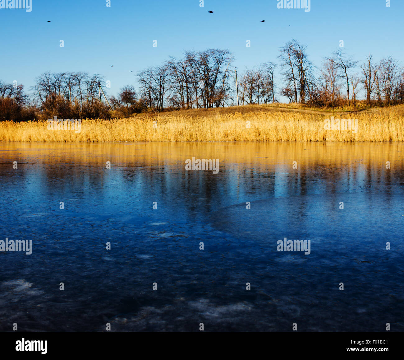 Cold day and first ice on lake in late autumn. Stock Photo