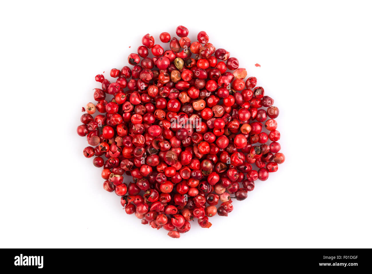 red peppercorns seeds isolated on white background Stock Photo Alamy