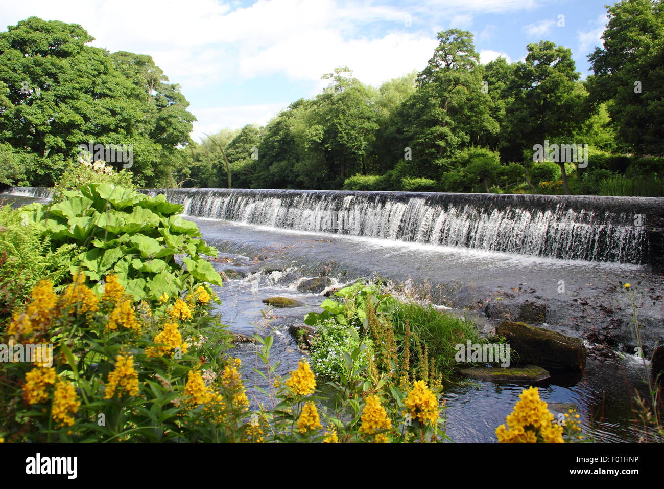 The weir on the River Derwent at Bamford in the Peak District National Park, Derbyshire England UK Stock Photo