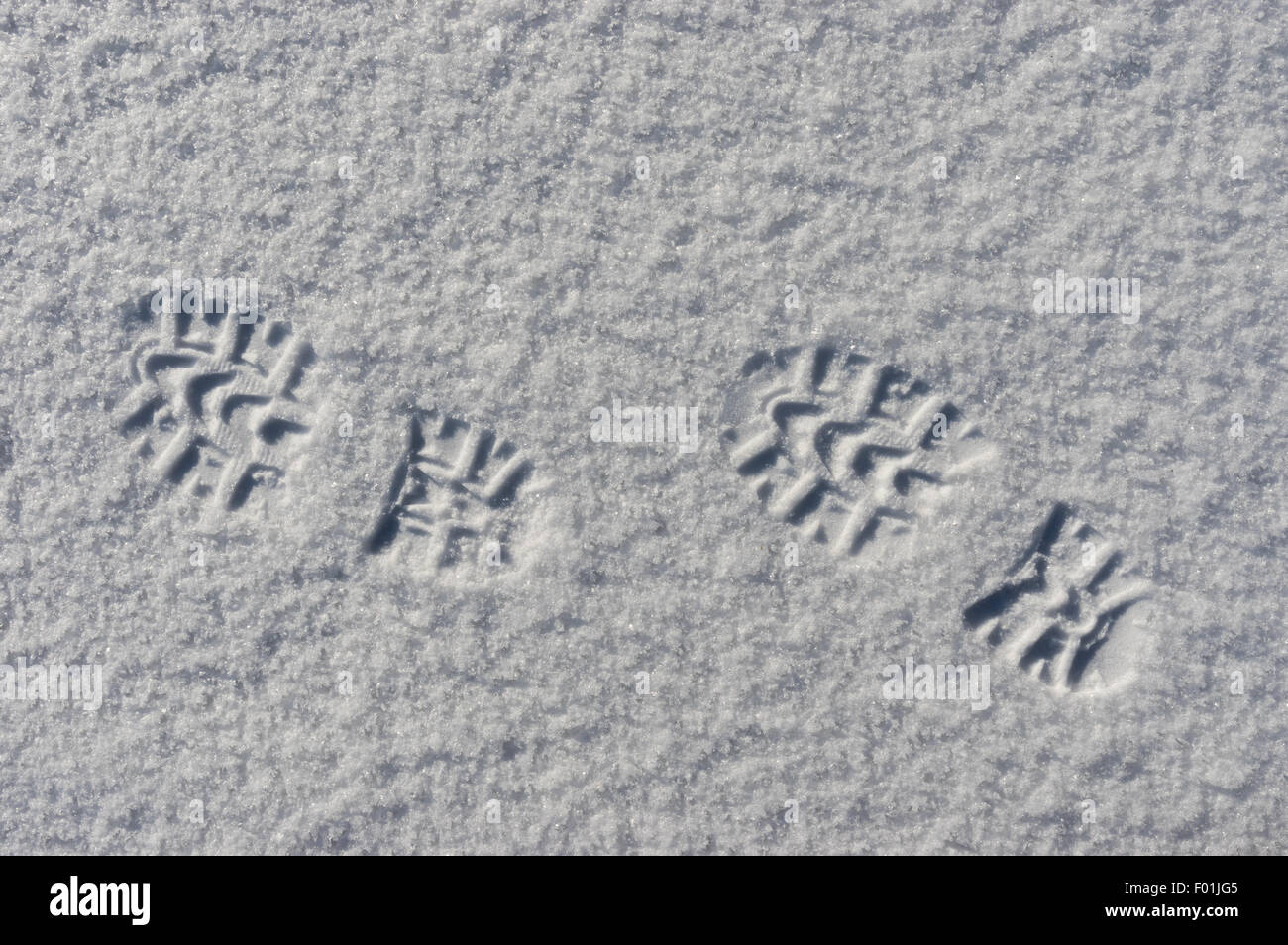 High contrast image of footsteps in snow Stock Photo