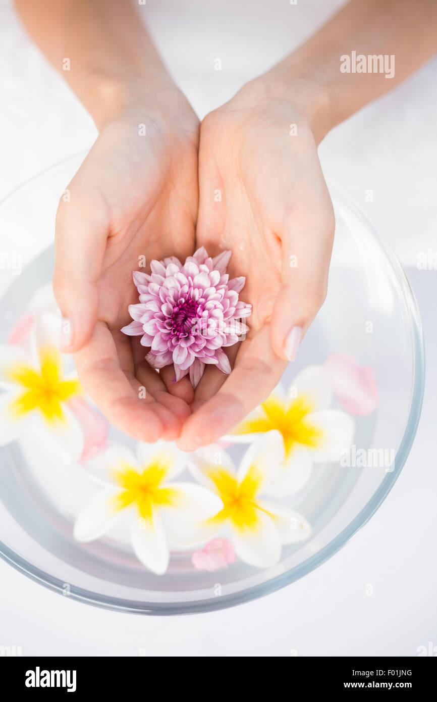 Petals of flower in wooden bowl Stock Photo
