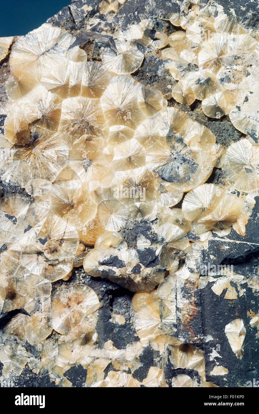 Wavellite in acicular aggregations, phosphate. Stock Photo