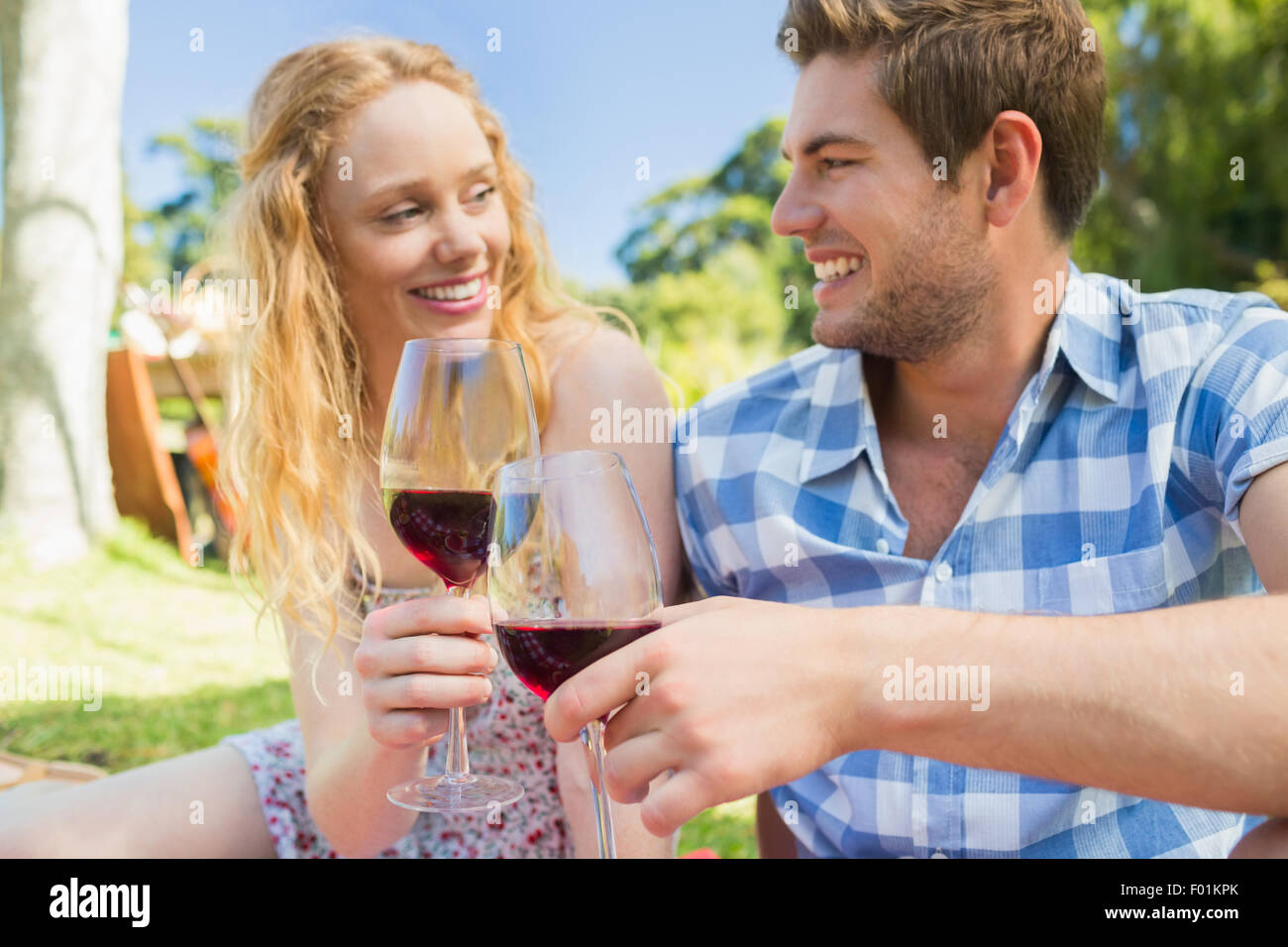 Young couple on a picnic drinking wine Stock Photo - Alamy